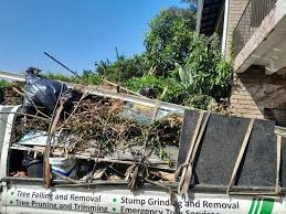 Best Junk Removal for Events  in Clayton, AL